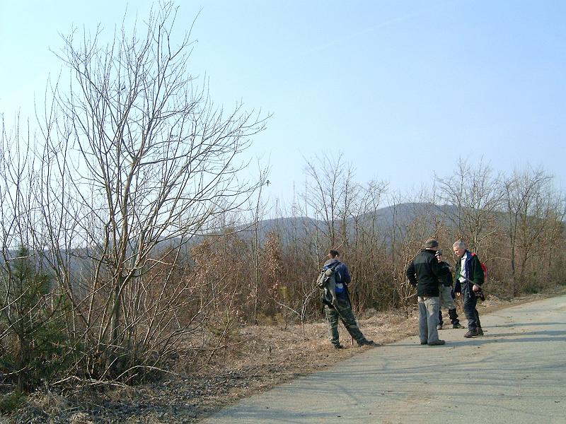 20110312 060.jpg